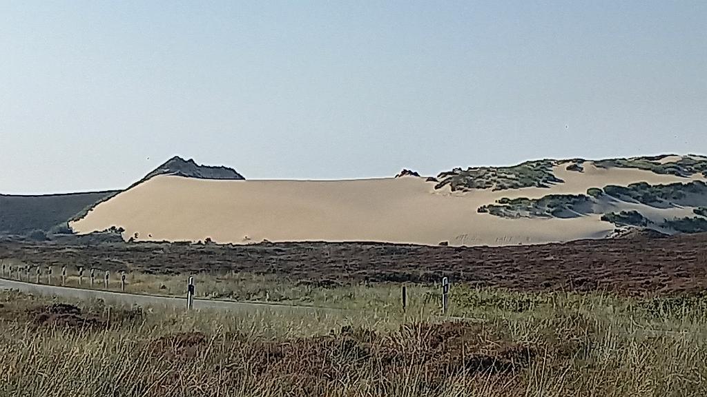 Sylt (103)